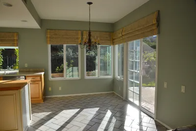 DSC_7377 (Large).JPG